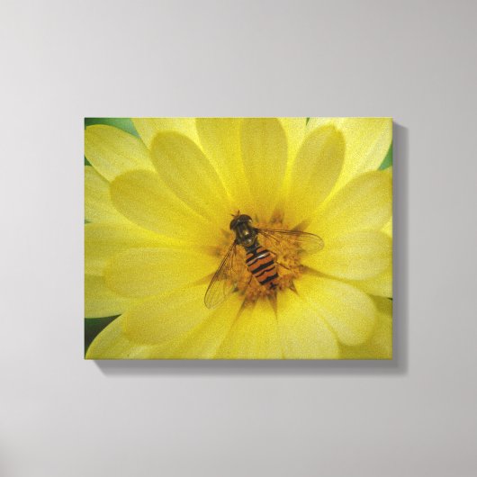 Hoverfly auf einer Marigold Canvas Print Leinwanddruck (Vorderseite)