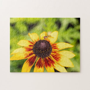 Hoverfly auf Rudbeckia Puzzle