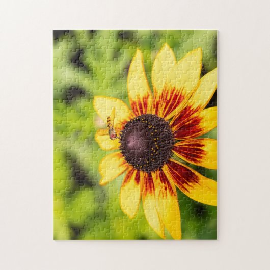 Hoverfly auf Rudbeckia Puzzle (Vertikal)