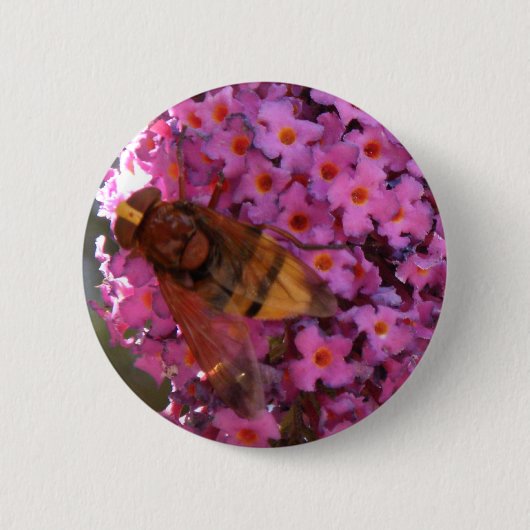 Hoverfly Button (Vorderseite)