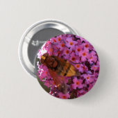 Hoverfly Button (Vorne & Hinten)
