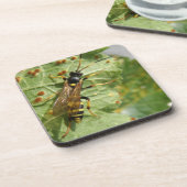 Hoverfly Cork Untersetzer (Linke Seite)