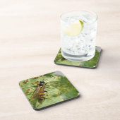 Hoverfly Cork Untersetzer (Rechte Seite)