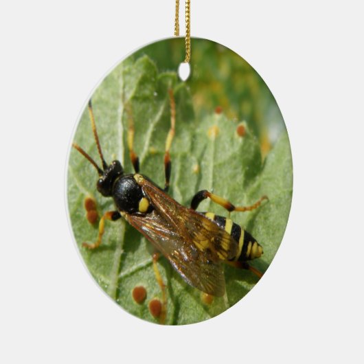 Hoverfly Custom Geburtstag Keramikornament (Rechts)