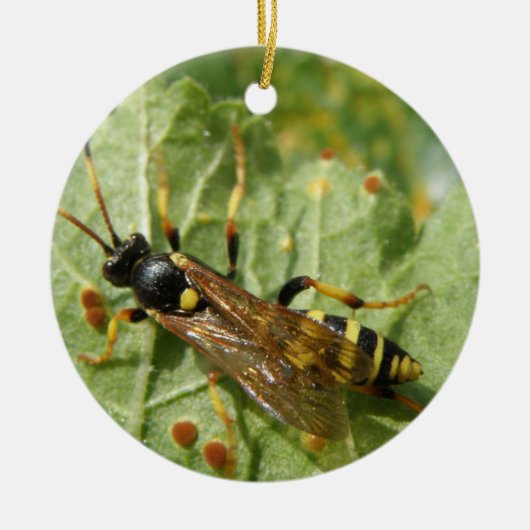 Hoverfly Custom Geburtstag Keramikornament (Vorne)