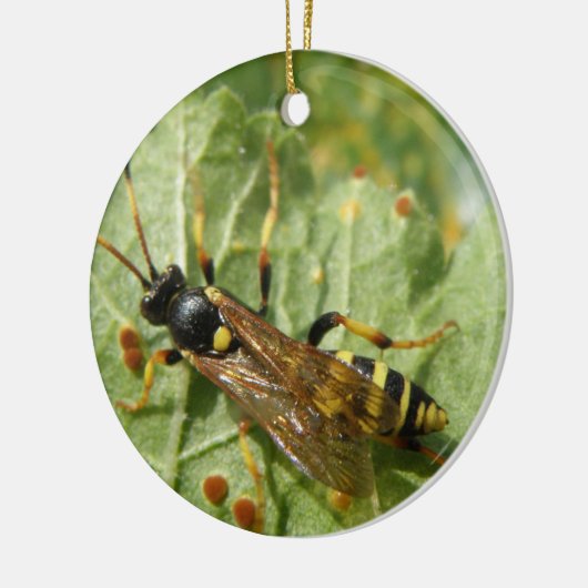 Hoverfly Custom Geburtstag Keramikornament (Links)