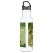 Hoverfly Edelstahlflasche (Rückseite)