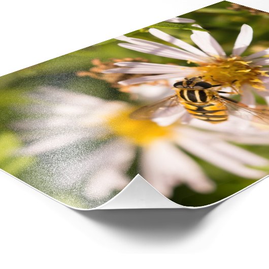 Hoverfly Fotodruck (Ecke)
