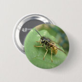 Hoverfly-Macintosh Button (Vorne & Hinten)