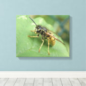 Hoverfly Macro Canvas Print Leinwanddruck (Insitu (Holzboden))