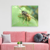 Hoverfly Macro Canvas Print Leinwanddruck (Insitu (Wohnzimmer))