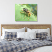 Hoverfly Macro Canvas Print Leinwanddruck (Insitu (Schlafzimmer))