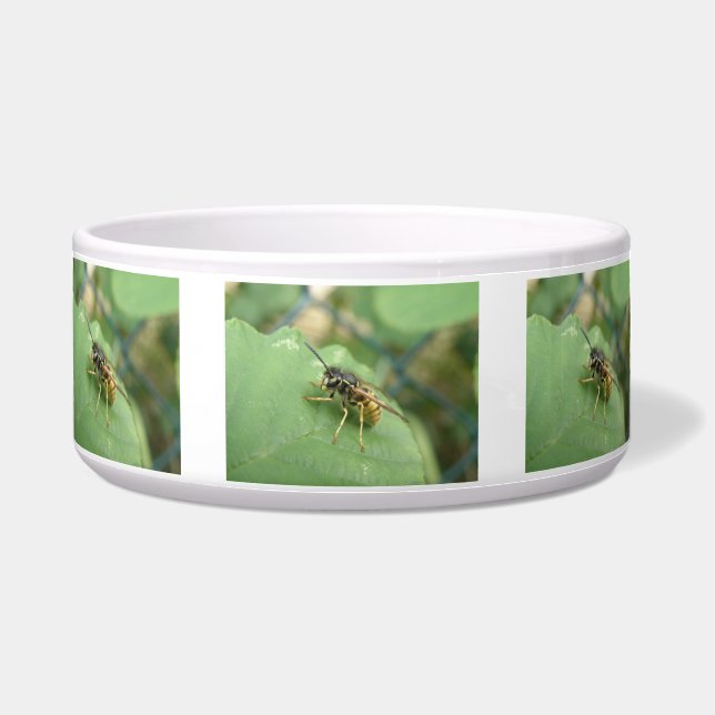 Hoverfly Macro Dog Bowl Napf (Vorderseite)