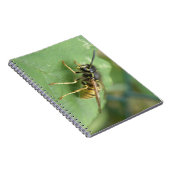 Hoverfly-Macro-Notebook Notizblock (Rechte Seite)