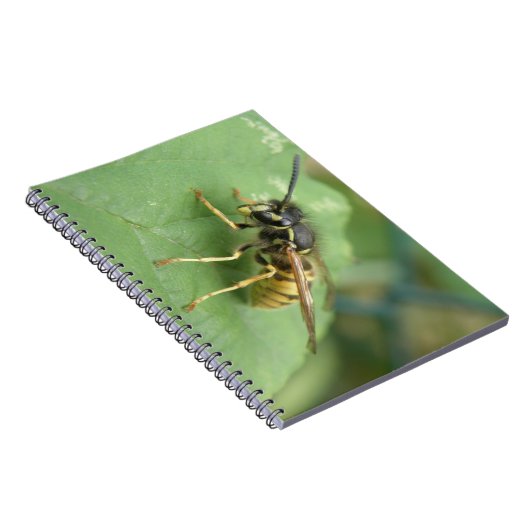 Hoverfly-Macro-Notebook Notizblock (Rechte Seite)