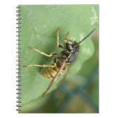 Hoverfly-Macro-Notebook Notizblock (Vorderseite)