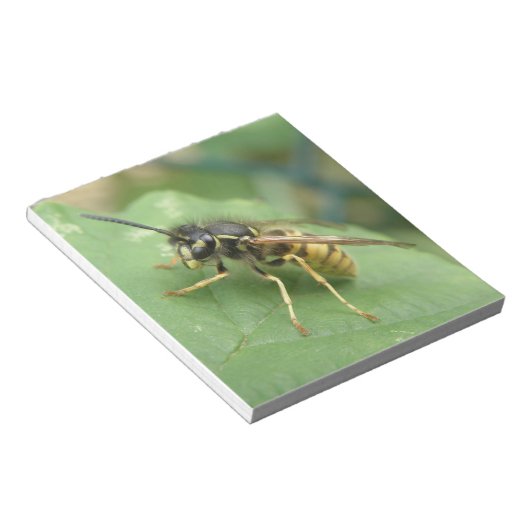 Hoverfly Macro Notepad Notizblock (angewinkelt)