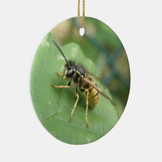 Hoverfly Macro Ornament (Rechts)