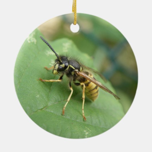 Hoverfly Macro Ornament (Hinten)