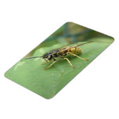 Hoverfly Macro Premium Magnet (Linke Seite)