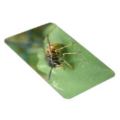 Hoverfly Macro Premium Magnet (Rechte Seite)