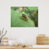 Hoverfly Macro Print Poster (Küche)