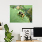 Hoverfly Macro Print Poster (Heimbüro)