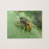 Hoverfly Macro Puzzle (Horizontal)