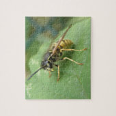 Hoverfly Macro Puzzle (Vertikal)
