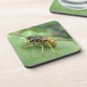 Hoverfly Macro Untersetzer (Linke Seite)