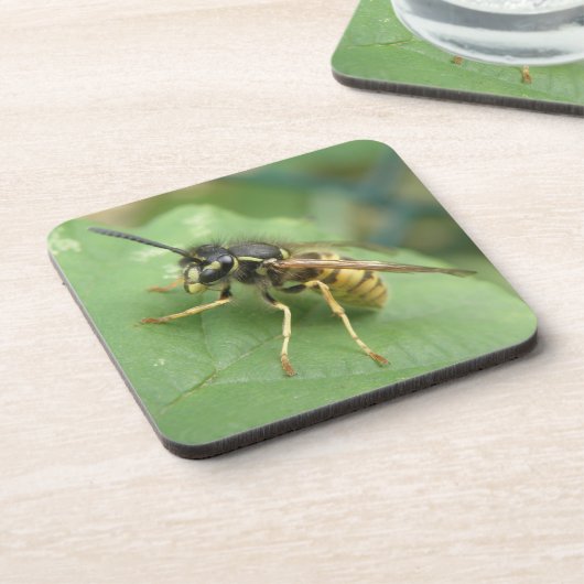 Hoverfly Macro Untersetzer (Linke Seite)