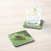 Hoverfly Macro Untersetzer (Rechte Seite)