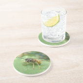 Hoverfly Macro Untersetzer (Seite)