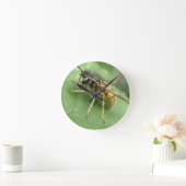 Hoverfly Macro Wall Clock Runde Wanduhr (Zuhause)