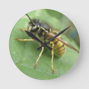 Hoverfly Macro Wall Clock Runde Wanduhr