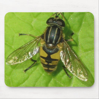 Hoverfly Mäusematte Mousepad