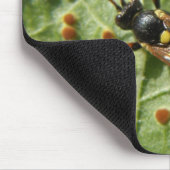 Hoverfly Mousepad (Ecke)