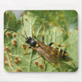 Hoverfly Mousepad (Vorne)