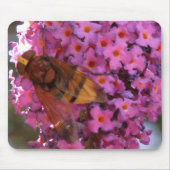 Hoverfly Mousepad (Vorne)