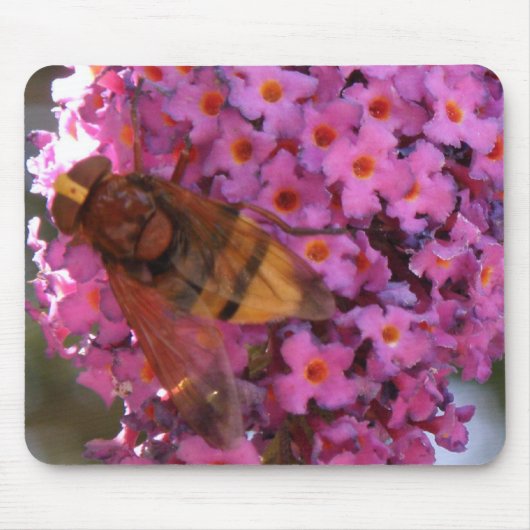 Hoverfly Mousepad (Vorne)