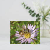 Hoverfly - Myathropa florea Postkarte (Stehend Vorderseite)