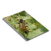 Hoverfly Notebook Notizblock (Rechte Seite)