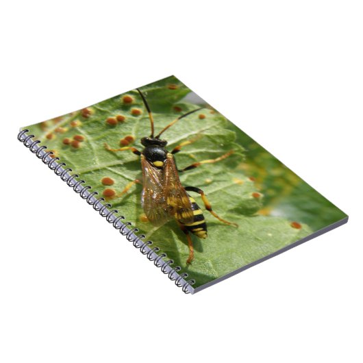 Hoverfly Notebook Notizblock (Rechte Seite)