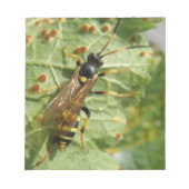 Hoverfly Notepad Notizblock (Vorderseite)