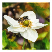Hoverfly on White Anemone Flower - Pollination in Fotodruck (Vorne)