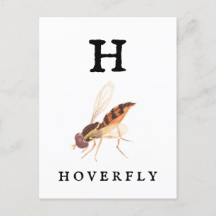 Hoverfly Postkarte