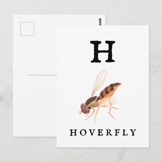 Hoverfly Postkarte (Vorne/Hinten)
