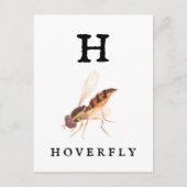 Hoverfly Postkarte (Vorderseite)