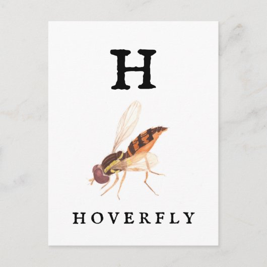 Hoverfly Postkarte (Vorderseite)