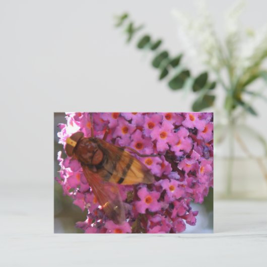 Hoverfly Postkarte (Stehend Vorderseite)